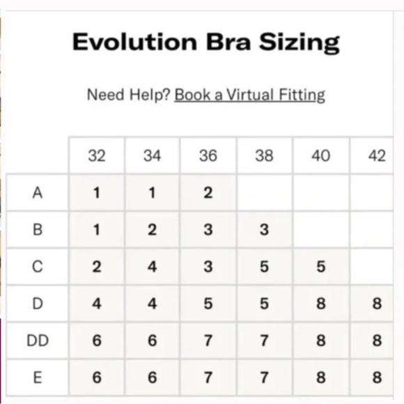 Knix Evolution Reversible Padded Bra Sz 3 in Dark Cherry/Rosette - Picture 6 of 6